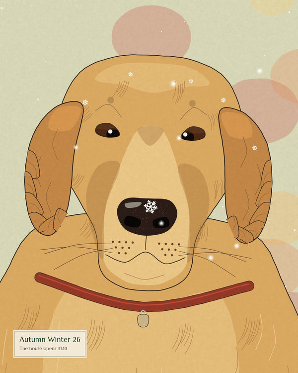 The dog of the house